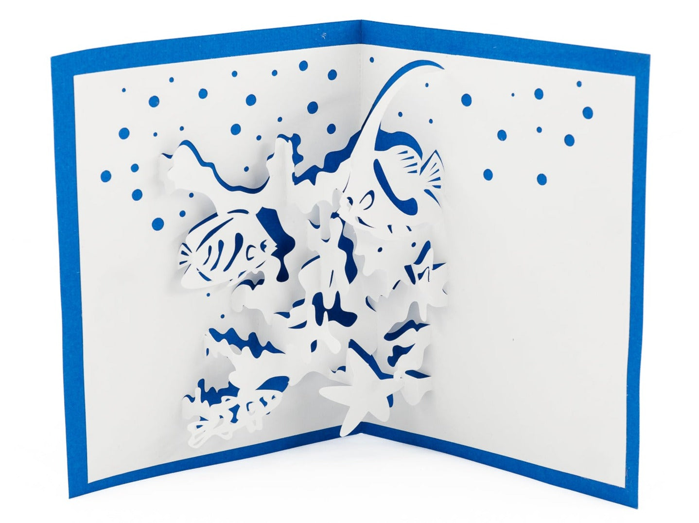 Coral Reef 3D Pop Up Card: Ocean Scene, Starfish & Tropical Fish - Nautical Greeting for Beach Lovers