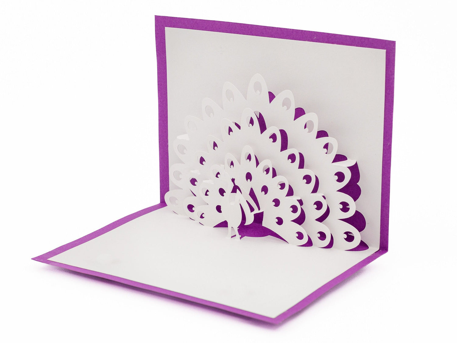 Peacock 3D Pop Up Card: Blank Card for Artisanal Anniversary Birthday, Sympathy, Thinking of You, Friendship, Wedding Gift for Nature Lovers