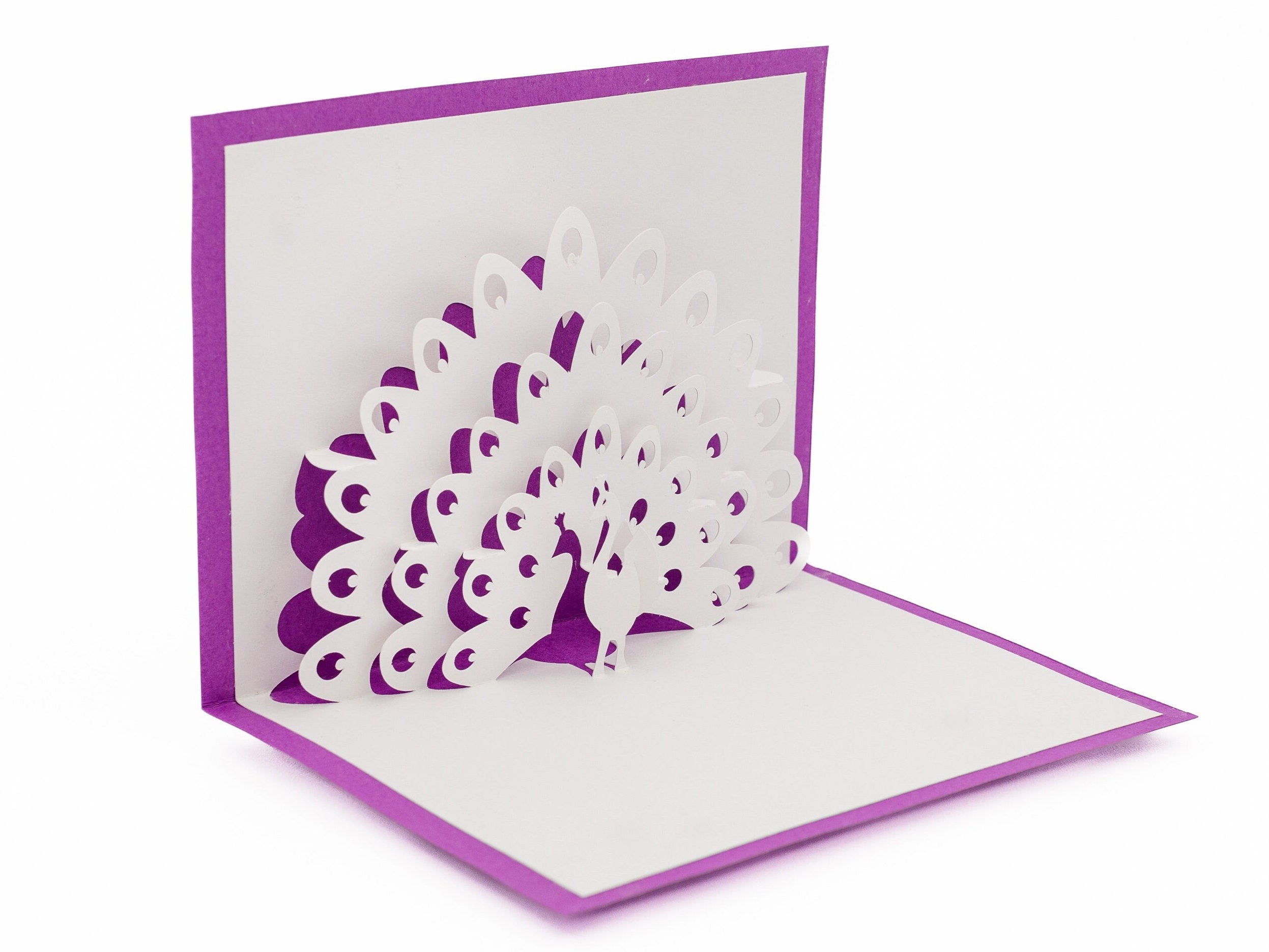 Peacock 3D Pop Up Card: Blank Card for Artisanal Anniversary Birthday, Sympathy, Thinking of You, Friendship, Wedding Gift for Nature Lovers